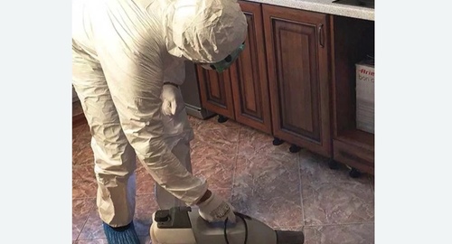 Уничтожение тараканов в квартире. СВАО Москвы